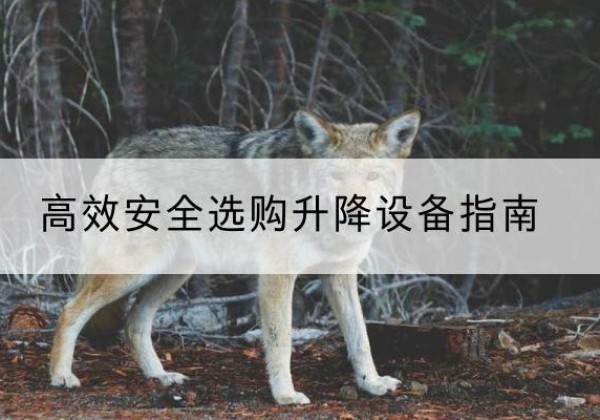 道孚升降货梯厂家推荐-*安全选购升降设备指南