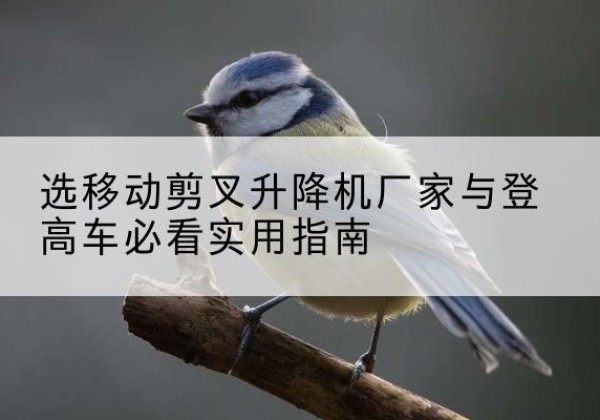 道孚电动升降机厂家-选移动剪叉升降机厂家与登高车必看实用指南