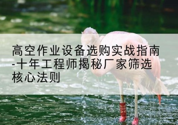 道孚剪叉式升降机厂家-高空作业设备选购实战指南-十年工程师揭秘厂家筛选核心法则